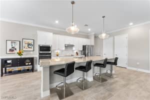 19086 Elston Way, Estero, FL 33928 Sold 06/30/25