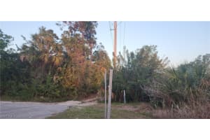 MLS# 225033589, Naples, Florida 34117