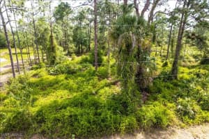 1316 Monroe Avenue, Lehigh Acres, FL 33972 - MLS#225033649