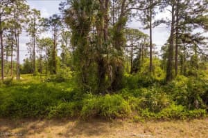 1316 Monroe Avenue, Lehigh Acres, FL 33972 - MLS#225033649