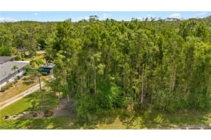 24265 Roger Dodger Street, Bonita Springs, FL 34135 - MLS#225033666