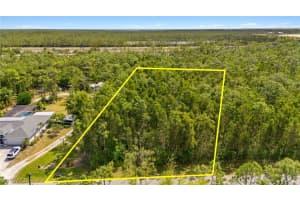 24265 Roger Dodger Street, Bonita Springs, FL 34135 - MLS#225033666
