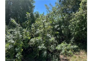 1609/1611 12th Street, Lehigh Acres, FL 33972 - MLS#225033912