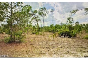 1005 Hamilton Avenue, Lehigh Acres, FL 33972 - MLS#225034407