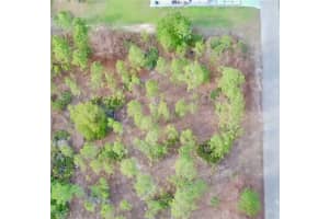 1005 Hamilton Avenue, Lehigh Acres, FL 33972 - MLS#225034407