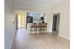 MLS# 225034870, Naples, Florida 34119