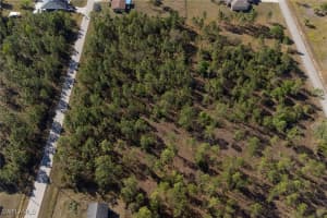 1017 McArthur Avenue, Lehigh Acres, FL 33936 - MLS#225035183