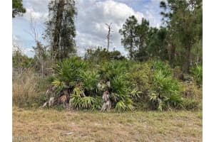 1015 Naples Avenue, Lehigh Acres, FL 33974 - MLS#225035297