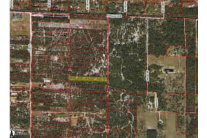  Frangipani AVE, Naples, FL 34117 - MLS#225035722