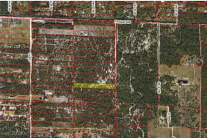 xx Frangipani Avenue, Naples, FL 34117 - MLS#225035793