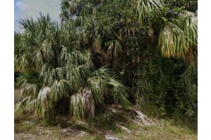 3519 Allapatchee Drive, Punta Gorda, FL 33950 - MLS#225036071