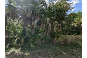 3519 Allapatchee Drive, Punta Gorda, FL 33950 - MLS#225036071