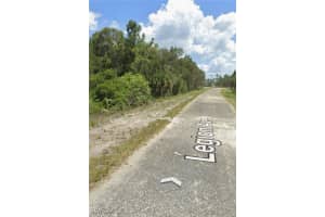 1009 LEGION AVE Avenue, Lehigh Acres, FL 33974 - MLS#225036076