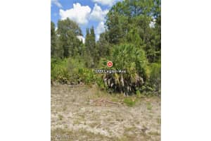1009 LEGION AVE Avenue, Lehigh Acres, FL 33974 - MLS#225036076