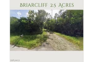 15671 Shamrock Drive, Fort Myers, FL 33912 Sold 05/23/25