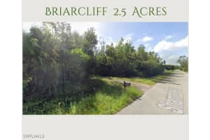 15671 Shamrock Drive, Fort Myers, FL 33912 Sold 05/23/25