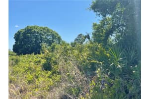 864 Chezy Street, Lehigh Acres, FL 33974 - MLS#225036403