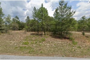 3861 Malby Lane, Dunnellon, FL 34433 Sold 05/14/25