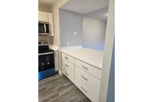 17420 Birchwood Lane, Fort Myers, FL 33908 Sold 08/15/25