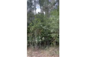 308 Kerrsdale Circle, Lehigh Acres, FL 33974 - MLS#225037234