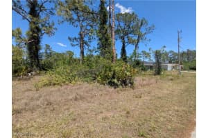 1009 Butler Street, Lehigh Acres, FL 33974 - MLS#225037247