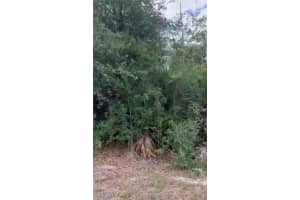 308 Jourferie Road, Lehigh Acres, FL 33974 - MLS#225037256