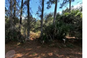  Kenoska ST, North Port, FL 34288 - MLS#225037744