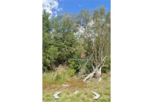 1143 hatton Avenue, Lehigh Acres, FL 33974 - MLS#225037814