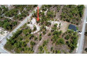 1004 Truman Avenue, Lehigh Acres, FL 33972 - MLS#225038333