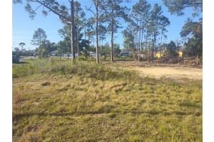 1205 Elaine Avenue, Lehigh Acres, FL 33971 - MLS#225038535