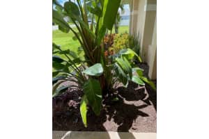 4306 Garden Boulevard, Cape Coral, FL 33909 Sold 10/16/25