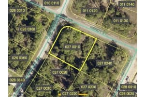 331 Mangonia Avenue, Lehigh Acres, FL 33974 - MLS#225039355