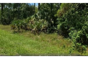 1707 Maple Avenue, Lehigh Acres, FL 33972 - MLS#225039667