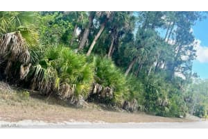 Xxxx Jung Boulevard, Naples, FL 34120 - MLS#225042812