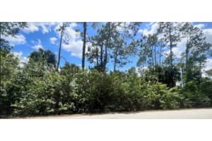 Xxxx Jung Boulevard, Naples, FL 34120 - MLS#225042812