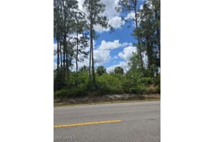 2556 Randall Boulevard, Naples, FL 34120 - MLS#225043740