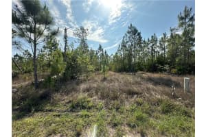 1014 Jackson Avenue, Lehigh Acres, FL 33972 - MLS#225045495