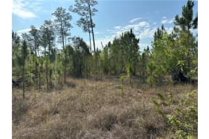 1014 Jackson Avenue, Lehigh Acres, FL 33972 - MLS#225045495