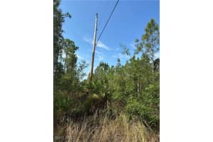 1014 Jackson Avenue, Lehigh Acres, FL 33972 - MLS#225045495