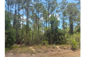 5043 Palmetto Woods Drive, Naples, FL 34119 Sold 06/06/25