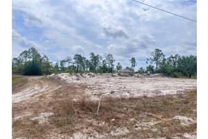 1033 Joponica Avenue, Lehigh Acres, FL 33974 - MLS#225046390