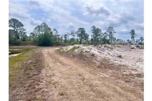 1033 Joponica Avenue, Lehigh Acres, FL 33974 - MLS#225046390