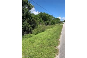 245 Silver Avenue, Lake Placid, FL 33852 - MLS#225046431