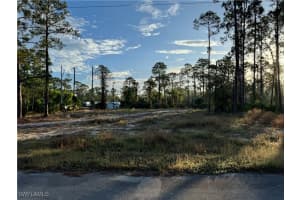 12 Irving Avenue, Lehigh Acres, FL 33936 - MLS#225046913