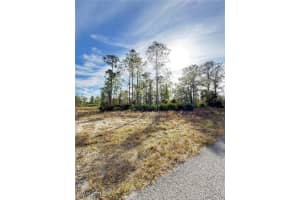 175 Concord Terrace, Labelle, FL 33935 - MLS#225047037