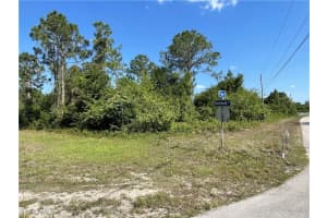 119 Fox Avenue, Lehigh Acres, FL 33974 - MLS#225048492