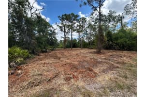 27242 Mandarin Drive, Punta Gorda, FL 33955 Sold 08/05/25