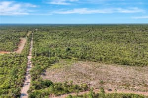  Woodland Grade RD, Naples, FL 34117 Sold 03/16/26