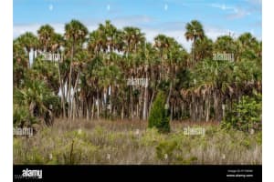  3rd ST NW, Naples, FL 34120 - MLS#225049620