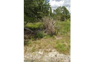 929 Grafton Street, Lehigh Acres, FL 33974 - MLS#225049990
